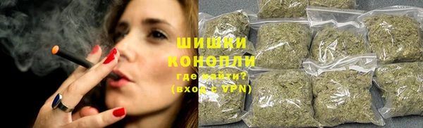 индика Белокуриха