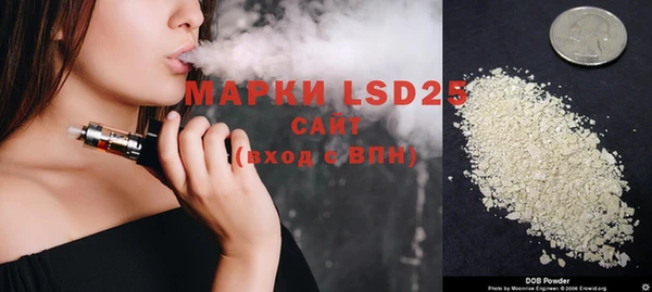 индика Белокуриха