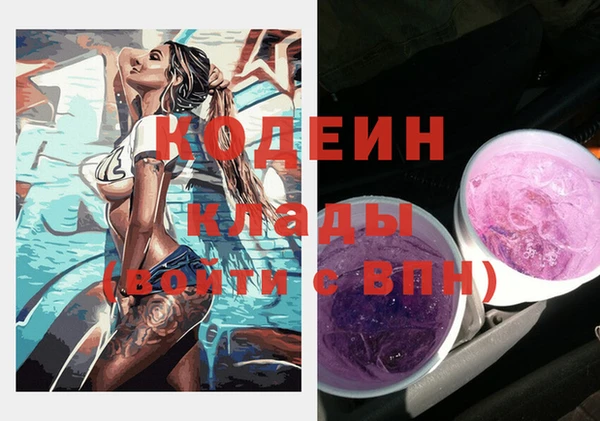 индика Белокуриха