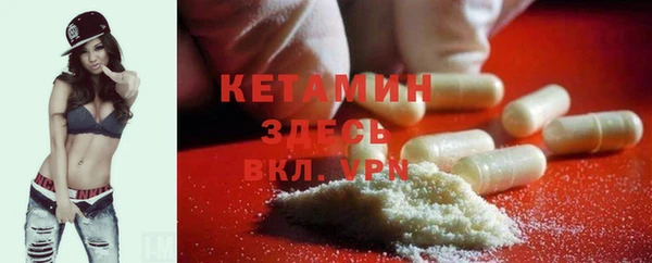 индика Белокуриха