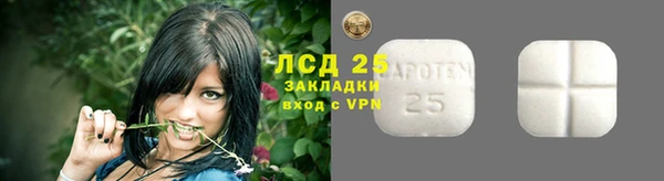 индика Белокуриха