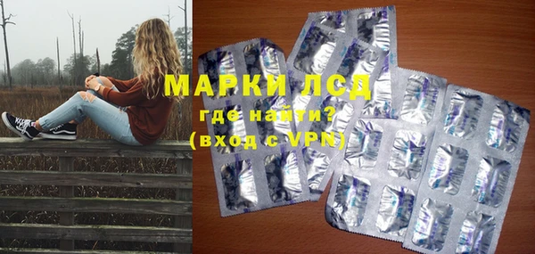 индика Белокуриха