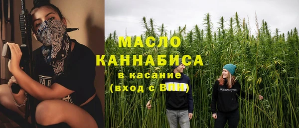 индика Белокуриха
