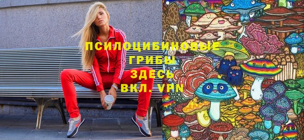 индика Белокуриха
