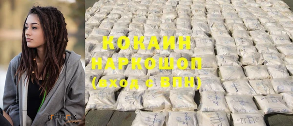 индика Белокуриха