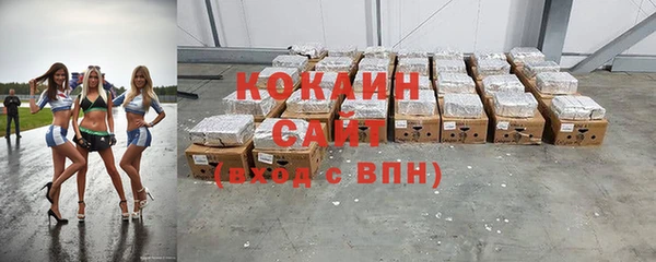 индика Белокуриха