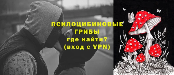 индика Белокуриха