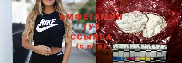 индика Белокуриха