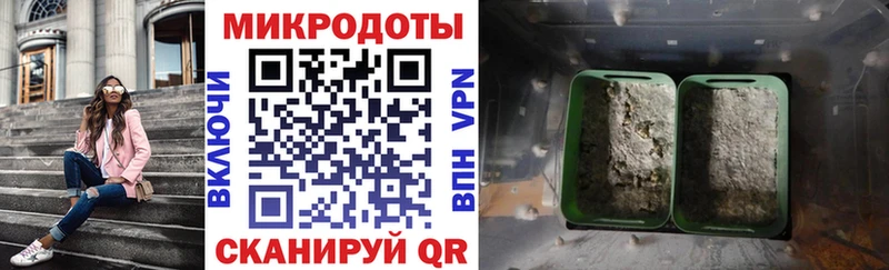 Псилоцибиновые грибы Psilocybe  Верхний Тагил 